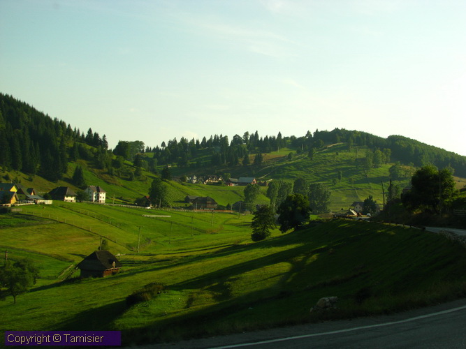 2008-09-01 16-48-22.JPG - 2008-RO>Ri Rucar